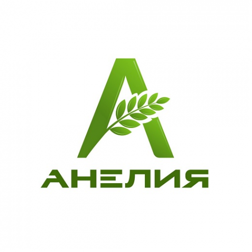Логотип компании ООО «АНЕЛИЯ»